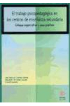 El trabajo psicopedagógico en los centros de enseñanza secundaria. Enfoque organizativo y casos prácticos