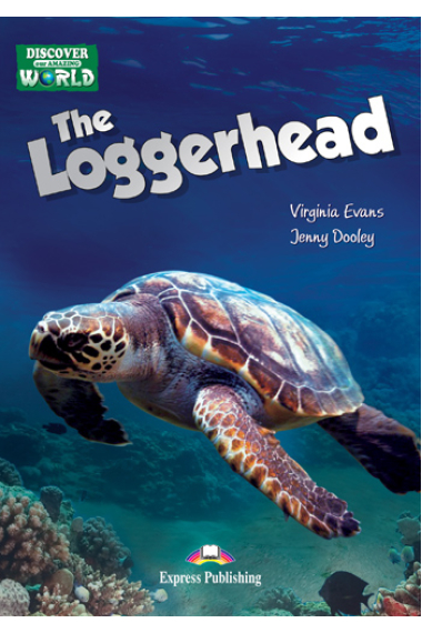 The Loggerhead A1/A2 (Multi-ROM)