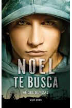 Noel te busca