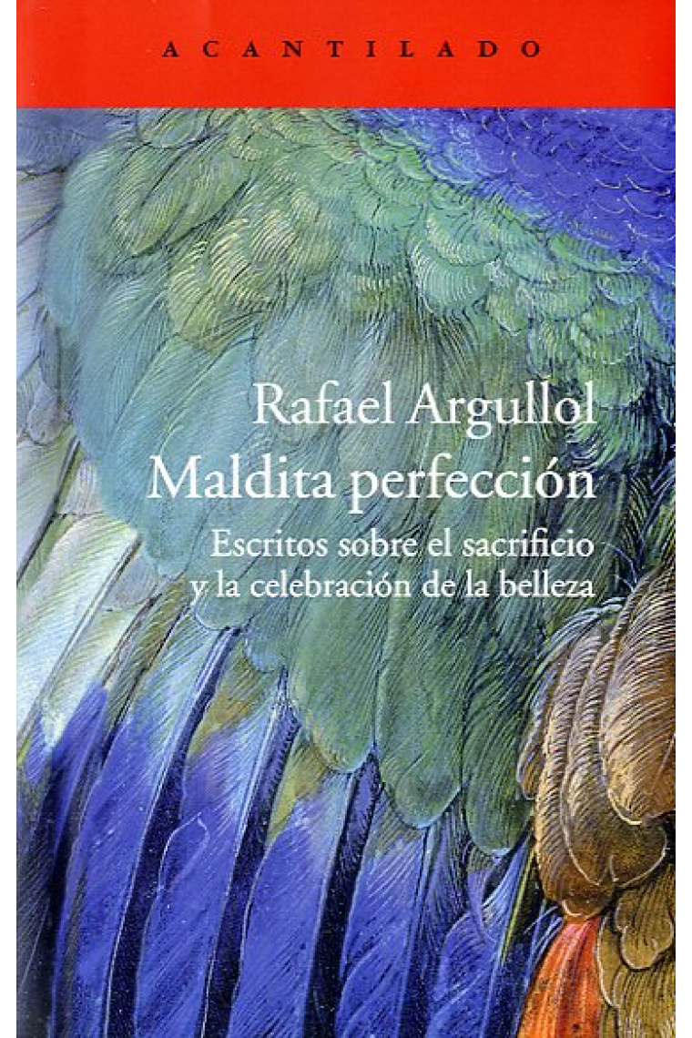 Maldita perfección: escritos sobre el sacrificio y la celebración de la belleza