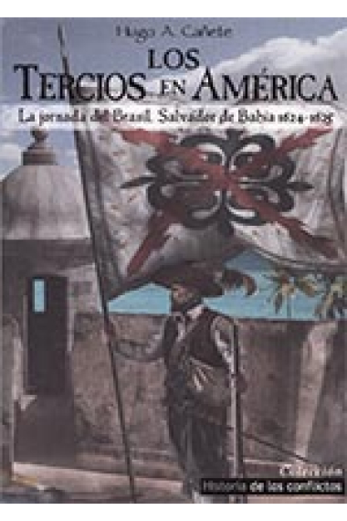 Los Tercios en América. La jornada del Brasil, Salvador de Bahía 1624-1625