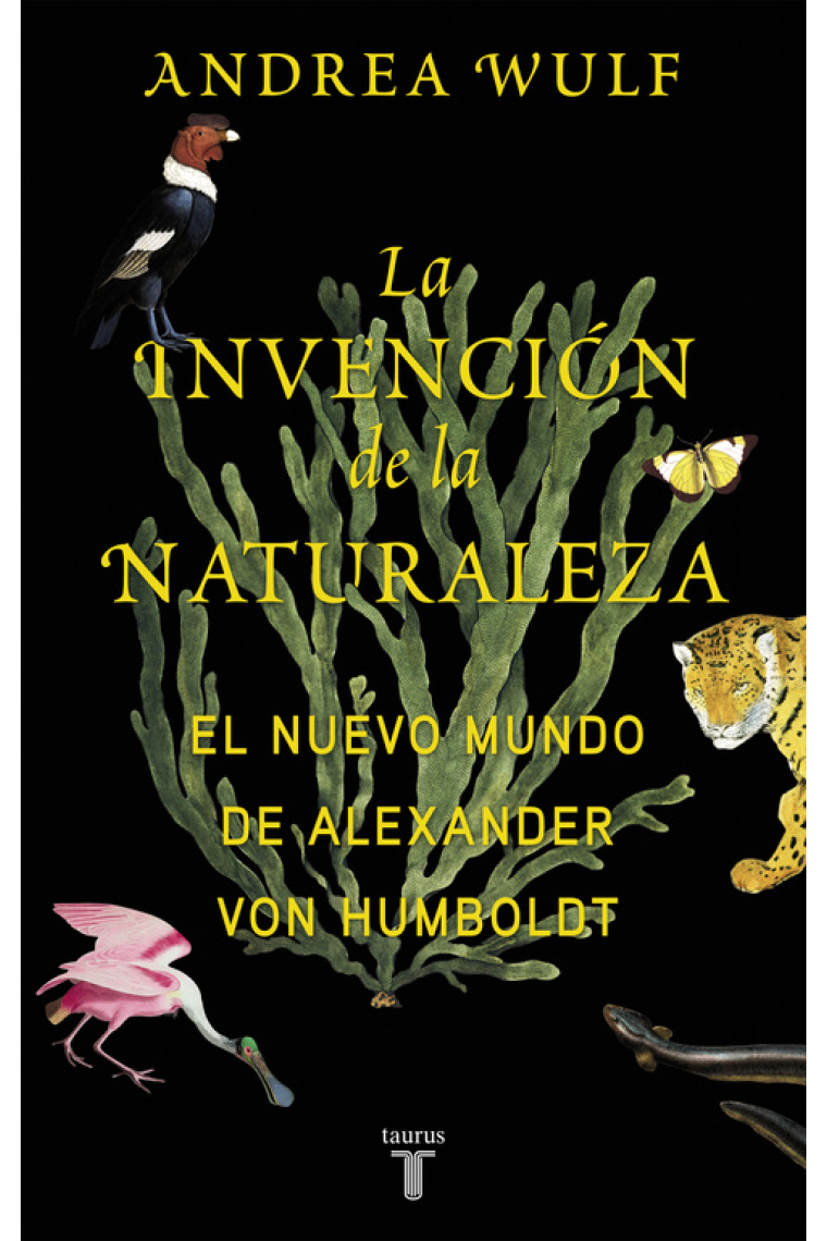 La invención de la naturaleza: el Nuevo Mundo de Alexander von Humboldt