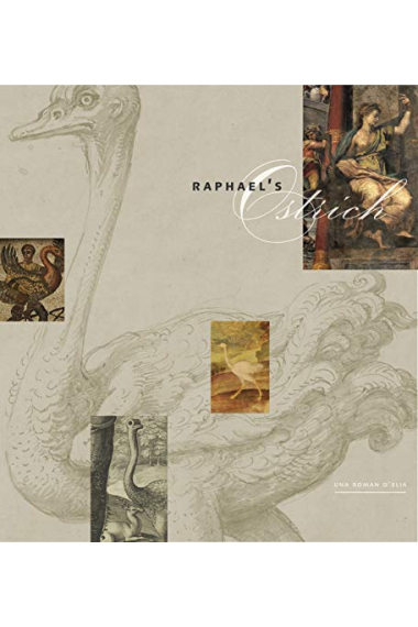 Raphaels Ostrich