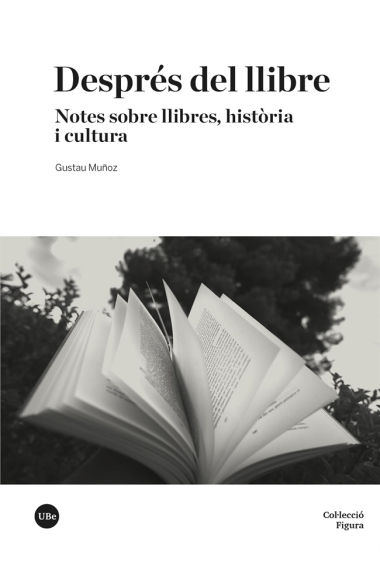 Després del llibre: notes sobre llibres, història i cultura