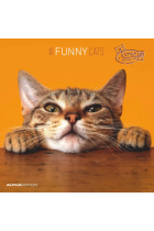 CALENDARIO 2025 FUNNY CATS 30X30CM