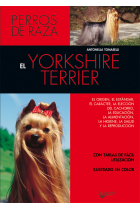 El yorkshire terrier