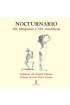 Nocturnario. 101 imágenes y 101 escrituras