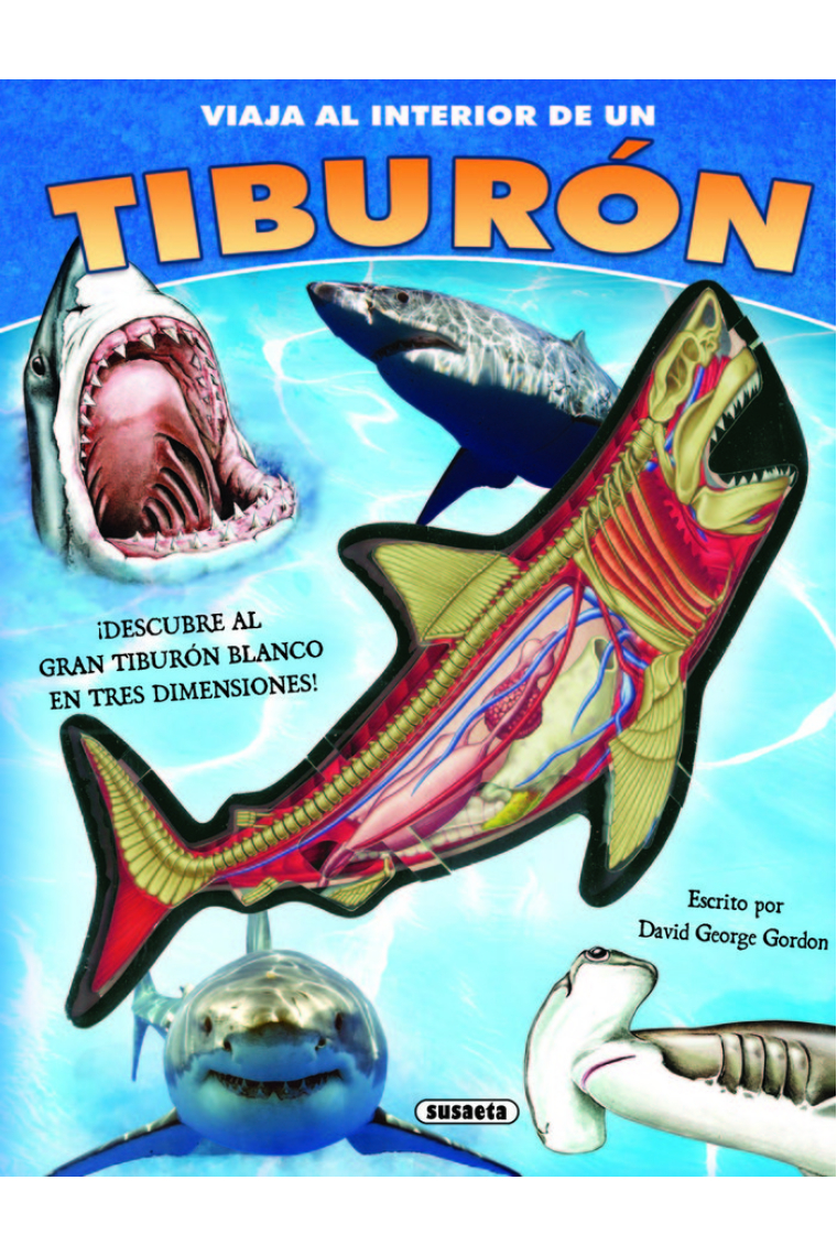 Tiburón