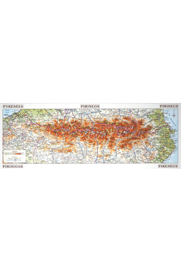 Mapa en relieve de los Pirineos 1: 800.000 (62x22cm)