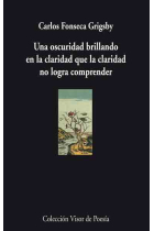 Una oscuridad brillando en la claridad que la claridad no logra comprender (XX Premio Internacional de Poesía Fundación LOEWE 2008 Jovén Creación)