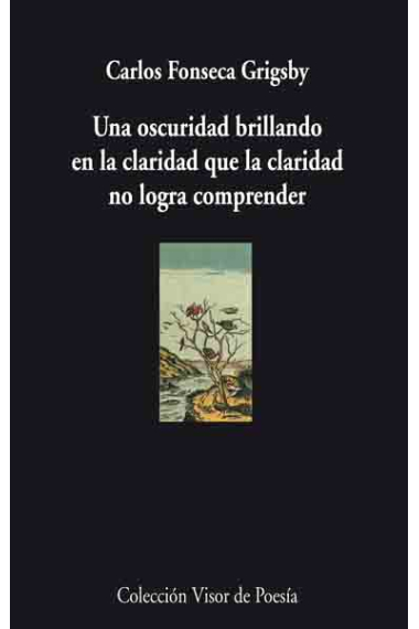 Una oscuridad brillando en la claridad que la claridad no logra comprender (XX Premio Internacional de Poesía Fundación LOEWE 2008 Jovén Creación)