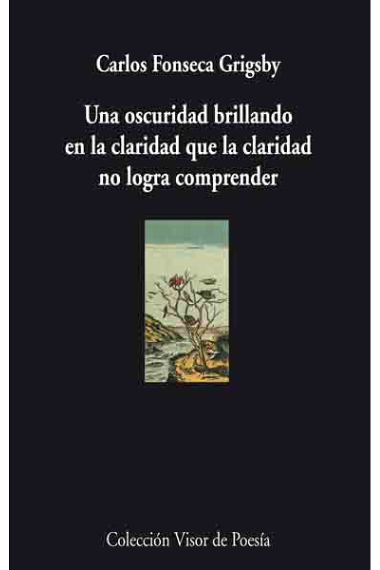 Una oscuridad brillando en la claridad que la claridad no logra comprender (XX Premio Internacional de Poesía Fundación LOEWE 2008 Jovén Creación)