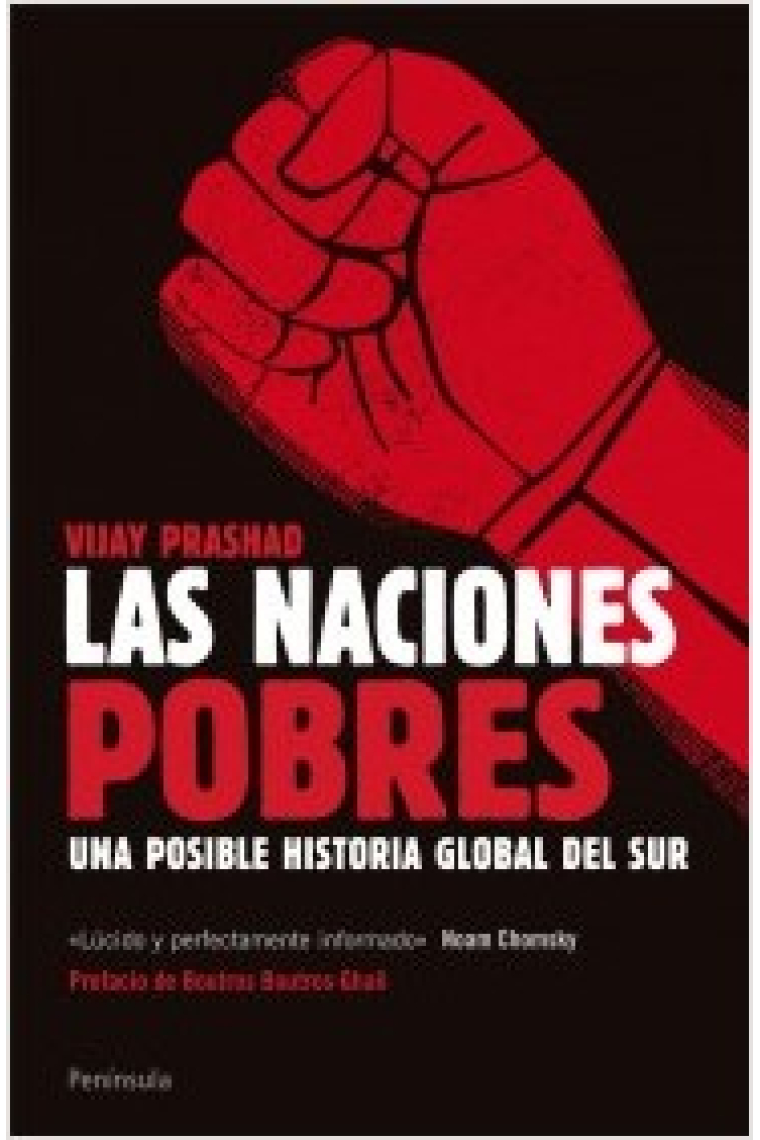 Las naciones pobres. Una posible historia global del Sur