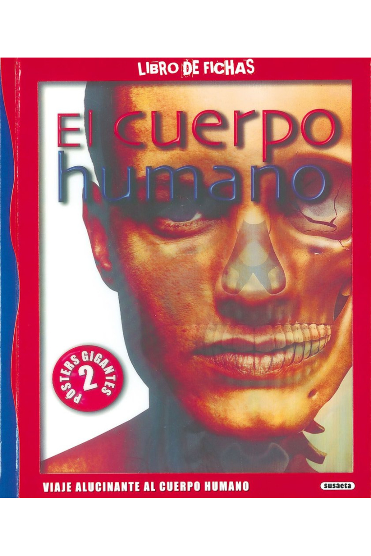 EL CUERPO HUMANO