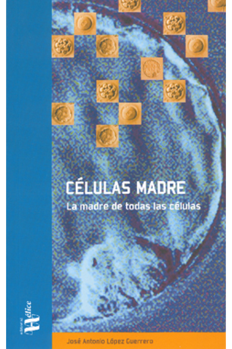 Células madre. La madre de todas las células