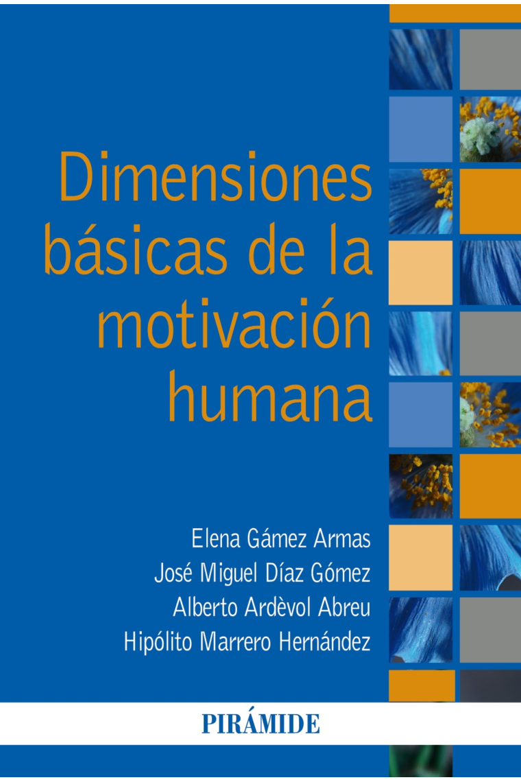 Dimensiones básicas de la motivación humana