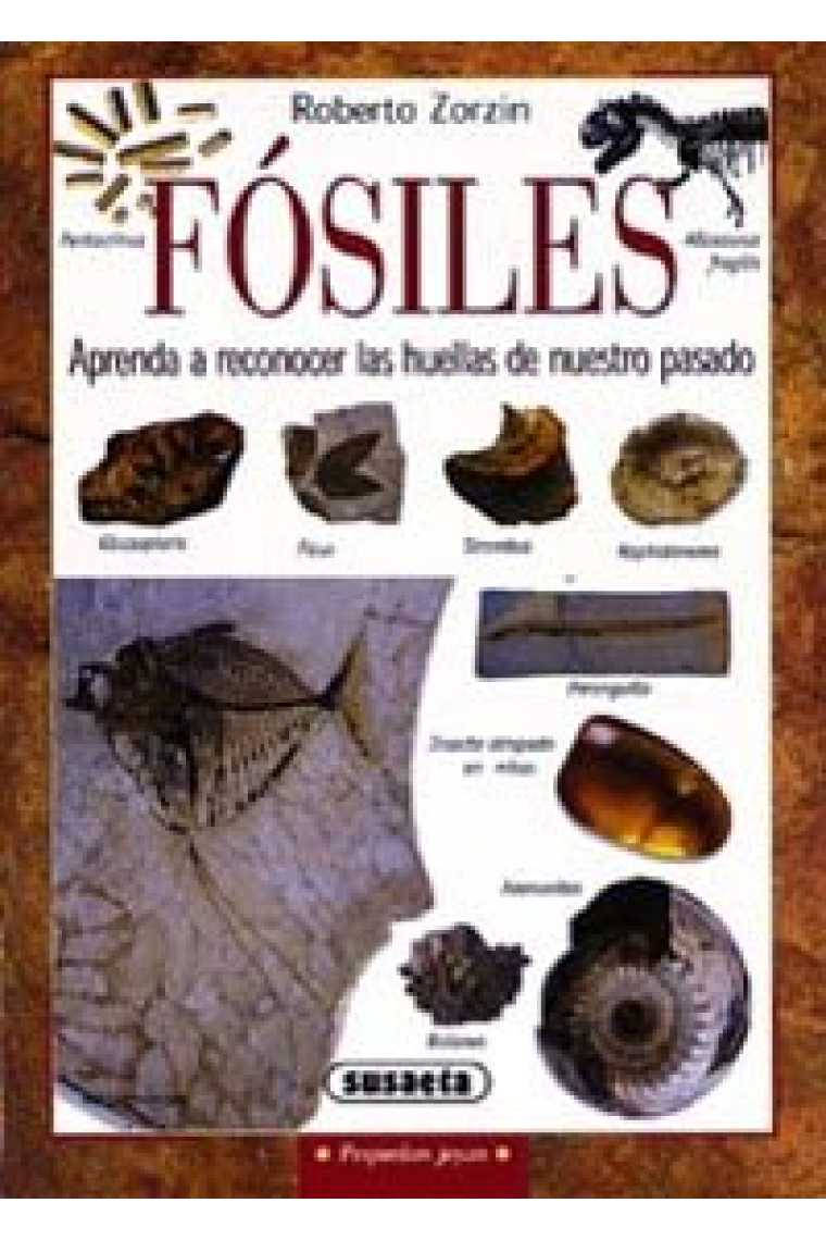 Fósiles