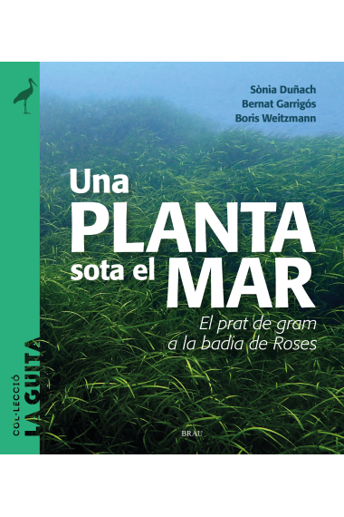 Una planta sota el mar. El prat de gram a la badia de Roses