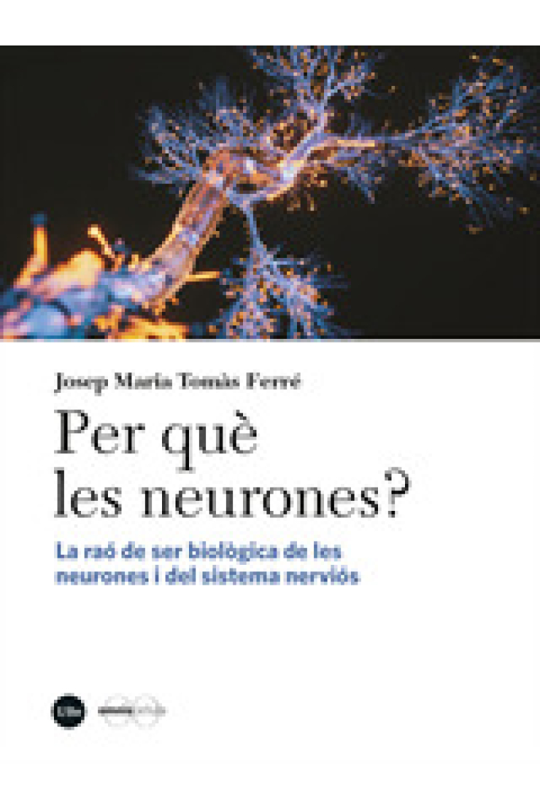 Per què les neurones? La raó de ser biològica de les neurones i del sistema nerviós