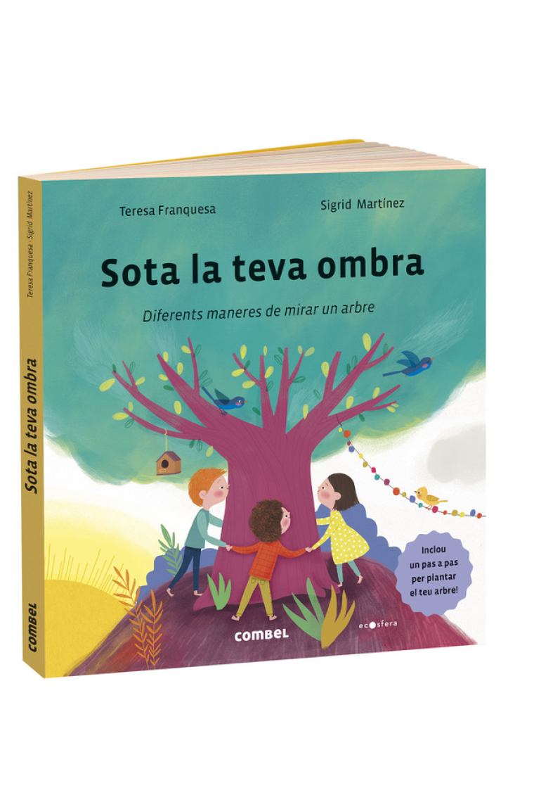 Sota la teva ombra. Diferents maneres de mirar un arbre