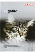 El gatito