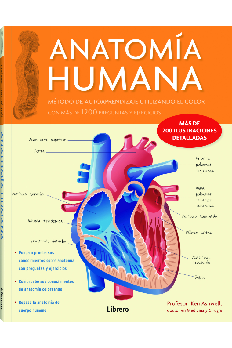 Anatomía humana. Método de autoaprendizaje utilizando el color con más de 1200 preguntas y ejercicios