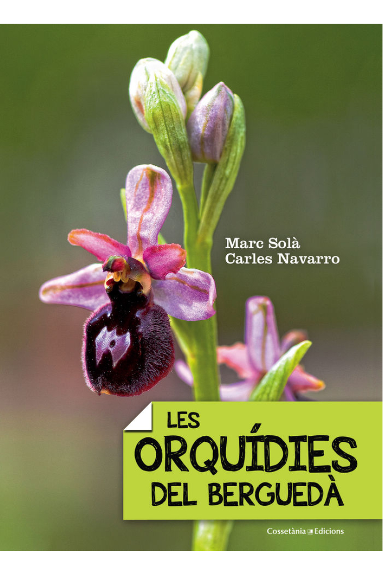 LES ORQUíDIES DEL BERGUEDà