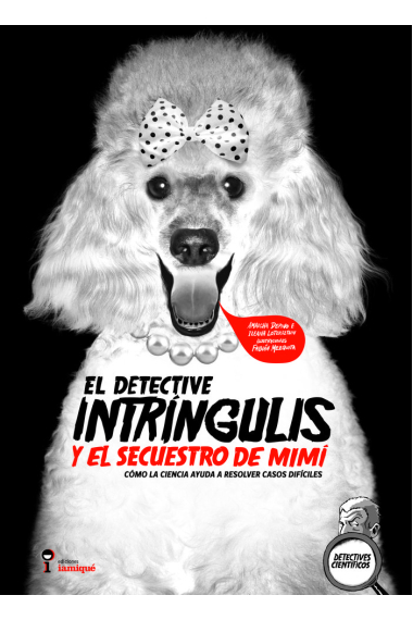 DETECTIVE INTRINGULIS Y SECUESTR