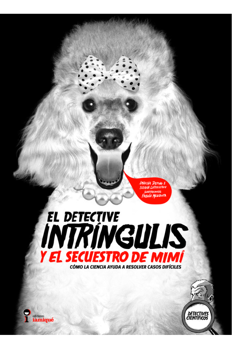 DETECTIVE INTRINGULIS Y SECUESTR