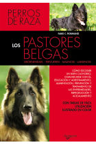 Los pastores belgas