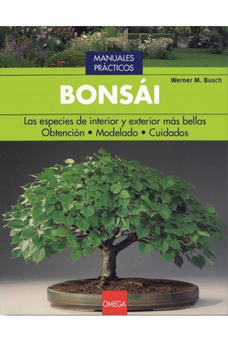 BONSAI