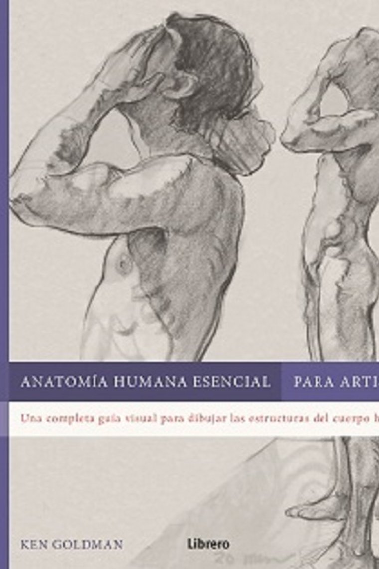 Anatomía humana esencial para artistas