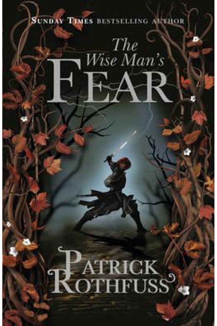 The Wise Man's Fear (The Kingkiller Chronicle 2)