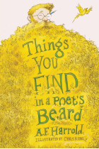 Things You Find In A Poet's Beard