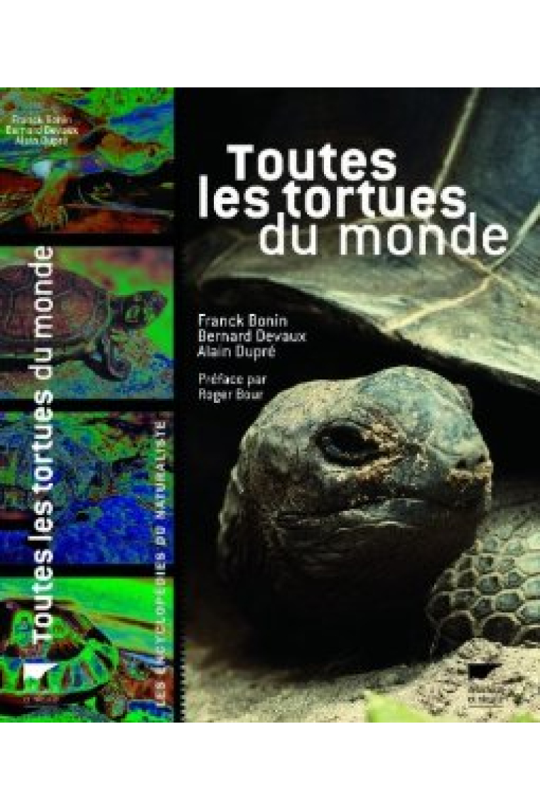 Toutes les tortues du monde