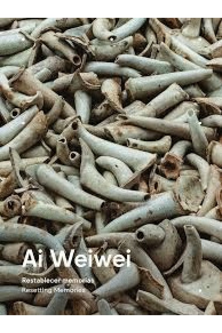 Ai Weiwei. Restablecer memorias