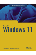 Windows 11