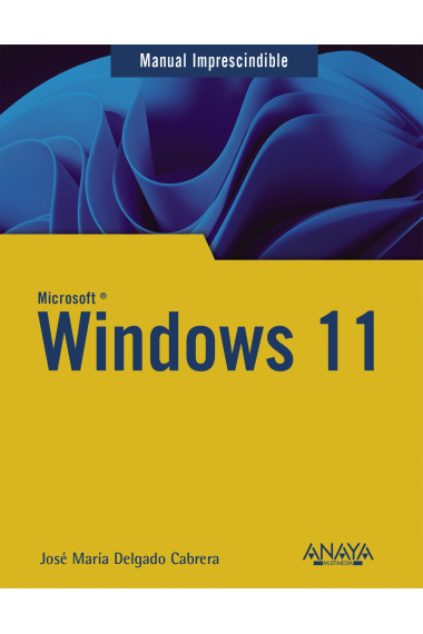 Windows 11