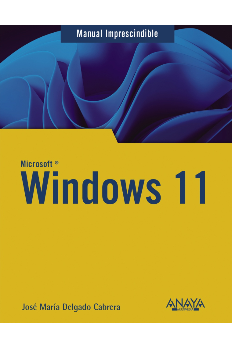 Windows 11