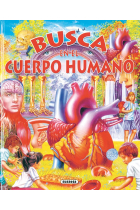 Busca en el cuerpo humano