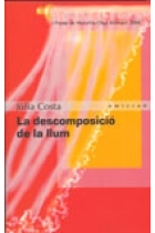 La descomposició del la lllum. I Premi de Novel.la Olga Xirinacs 2006