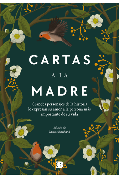 Cartas a la madre