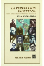 La perfección indefensa: ensayos sobre literaturas hispánicas del siglo XX