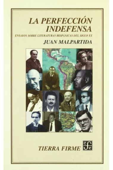 La perfección indefensa: ensayos sobre literaturas hispánicas del siglo XX