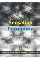 Sensation and Perception