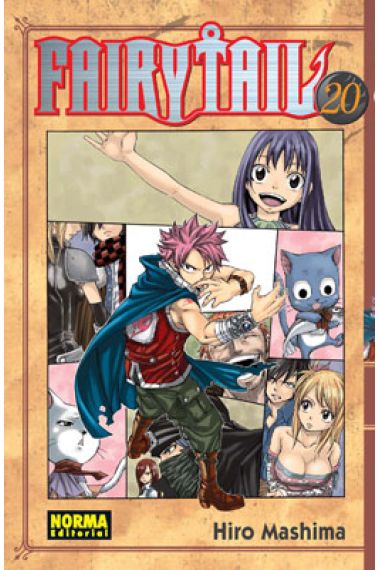 Fairy Tail 20