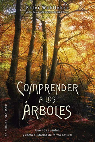 Comprender a los árboles