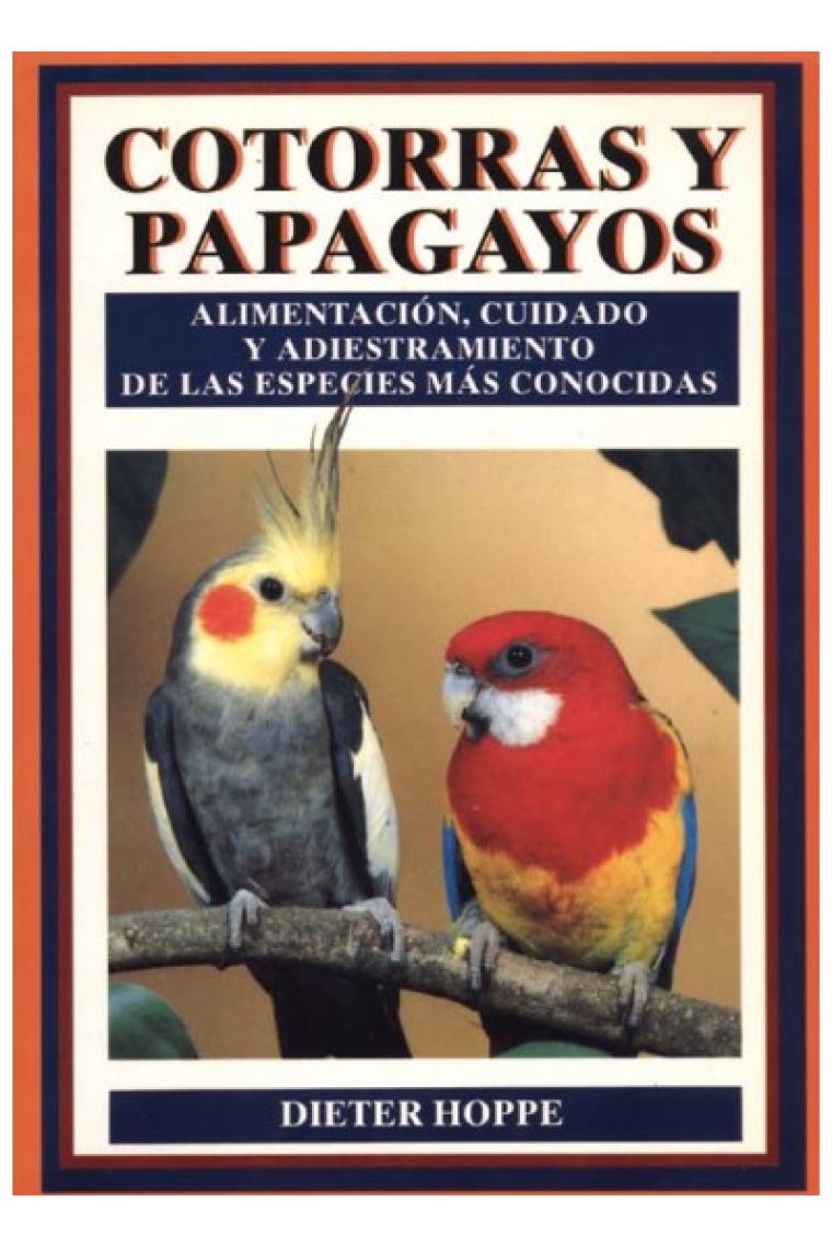 Cotorras y papagayos.