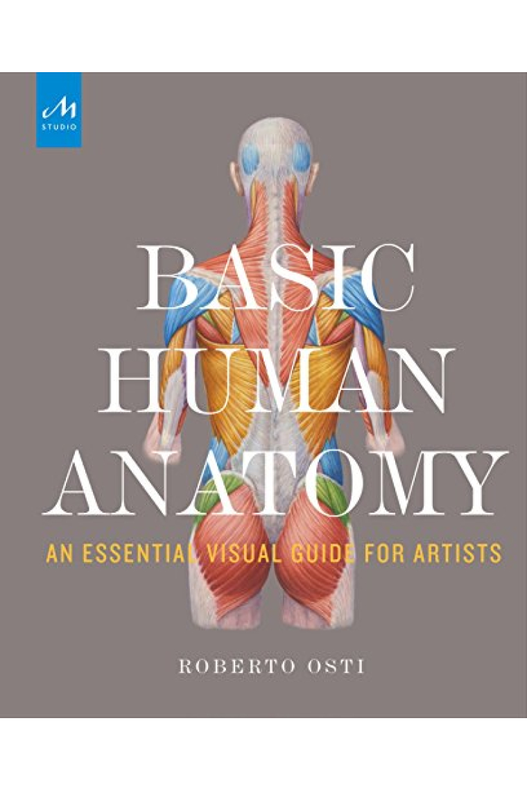 Basic Human Anatomy: An Essential Visual Guide for Artists