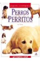 Perros & perritos